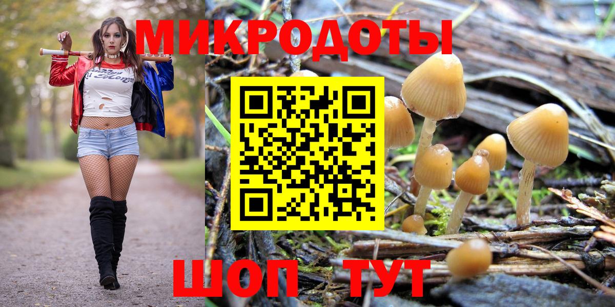 Москва  сколько стоит  Вход с VPN  Галлюциногенные грибы Psilocybe 
